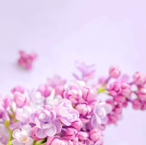 Flower bouquet same day flower delivery